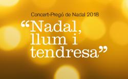 «Navidad, luz y ternura», el eje temático del Concierto-Pregón de Navidad