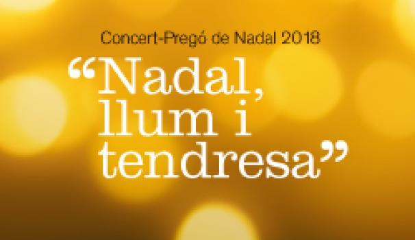 «Navidad, luz y ternura», el eje temático del Concierto-Pregón de Navidad