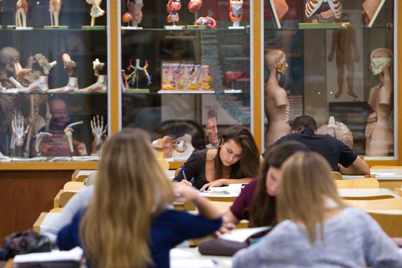 Alumnes a la biblioteca de la FCS