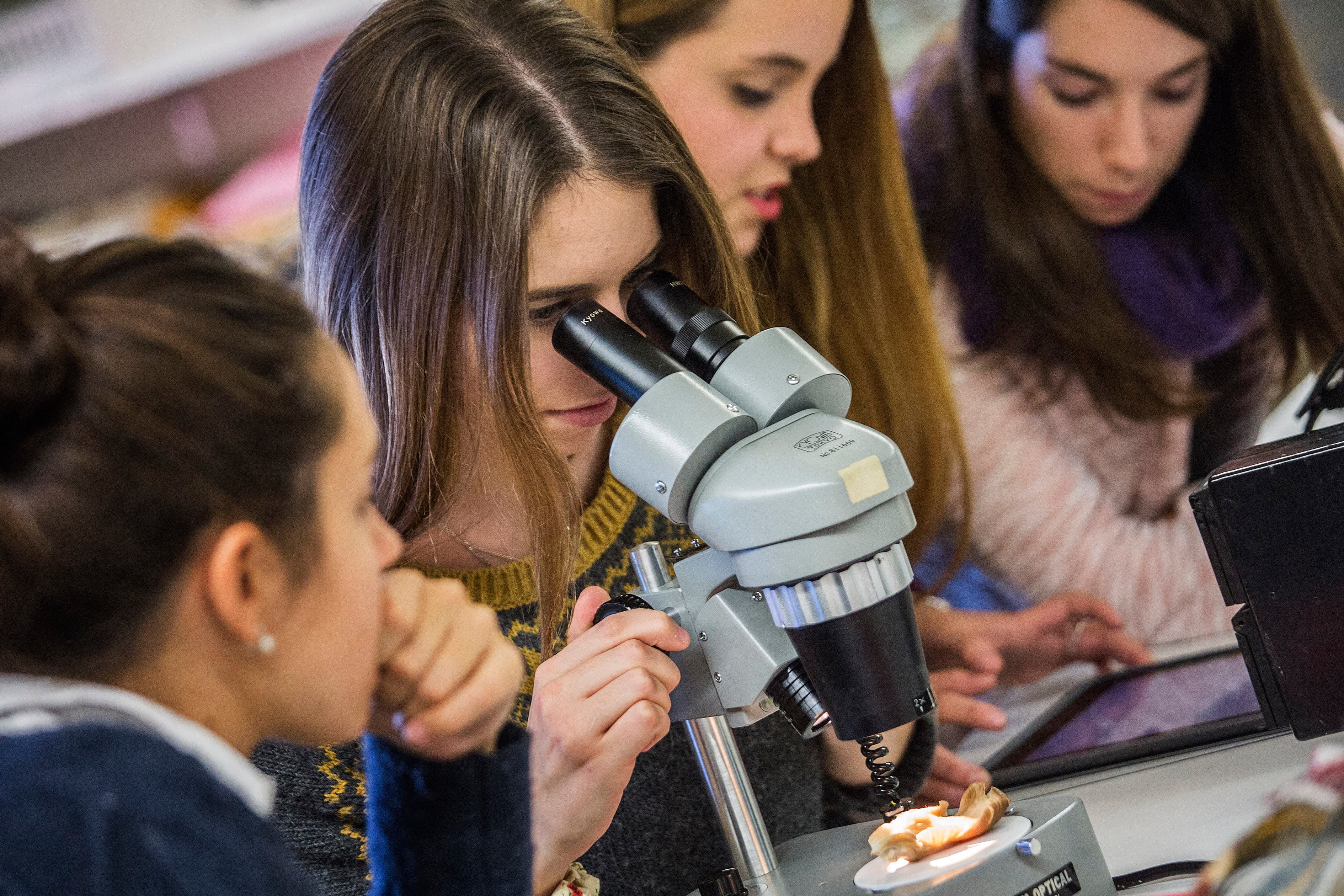 Laboratori de Ciències FPCEE